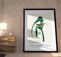 John James Audubon - Vigors Vireo from Birds of America (1827)