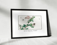 Morimoto Toko - Horsefly illustration from Churui Gafu (1910)