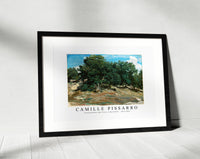 Camille Pissarro - Fontainebleau Oak Trees at Bas-Bréau 1832-1833