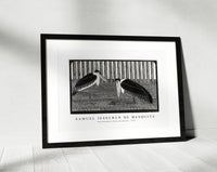 Samuel Jessurun De Mesquita - Two maraboos (Twee maraboes) (c.1914)