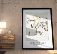 Numata Kashu - Canary and Peach illustration from Pictorial Monograph of Birds (1885)