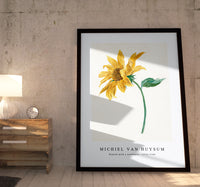 Michiel Van Huysum - Branch with a sunflower (1714–1760)