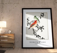 Numata Kashu - Crossbill illustration from Pictorial Monograph of Birds (1885)