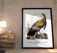 John James Audubon - Wild Turkey or Great American Cock from Birds of America (1827)