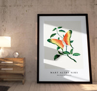 Mary Altha Nims - Rose Bush and Butterfly