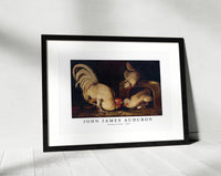 John James Audubon - Farmyard Fowls (ca. 1827)