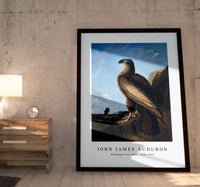 John Jadmes Audubon - Washington Sea Eagle (ca. 1836–1839)