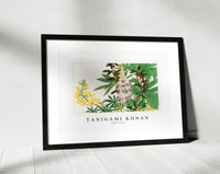 Tanigami Konan - Lupinus flower