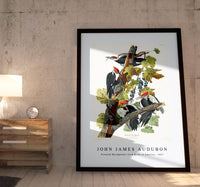 John James Audubon - Pileated Woodpecker from Birds of America (1827)