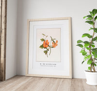 M. de Gijselaar - Orange flower by M. de Gijselaar (1820)