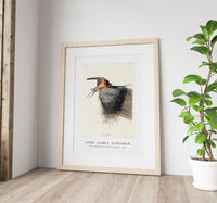 John James Audubon - Barn Swallow from Birds of America (1827)