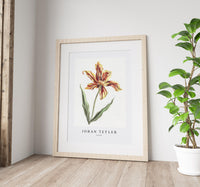 Johan Teyler - A tulip