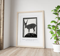 Samuel Jessurun De Mesquita - Markhor Goat (Markhorgeit) (1915)