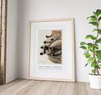 John James Audubon - Republican, or Cliff Swallow from Birds of America (1827)