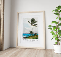 winslow homer - Palm Tree, Nassau-1898