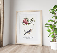 Johan Teyler - Rose and a Parakeet