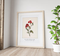 M. de Gijselaar - Red flower by M. de Gijselaar (1830)