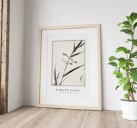 Numata Kashu - Reed-Bunting and Reed illustration from Pictorial Monograph of Birds (1885)