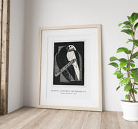 Samuel Jessurun De Mesquita - Parakeets (Parkieten) (1927)