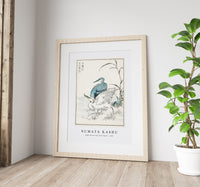 Numata Kashu - Night Heron and Little Egret illustration from Pictorial Monograph of Birds (1885)