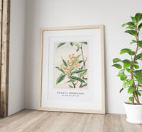 Megata Morikaga - Biwa loquat during 1870–1880