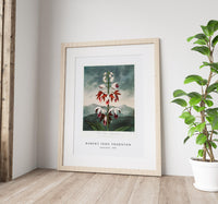 Robert John Thornton - Indian Reed from The Temple of Flora (1808)