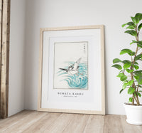 Numata Kashu - Mongolian Plover illustration from Pictorial Monograph of Birds (1885)