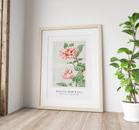 Megata Morikaga - Tsubaki camelia during 1870–1880