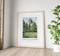 Camille Pissarro - Poplars, Éragny 1895