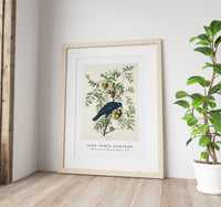 John James Audubon - American Crow from Birds of America (1827)