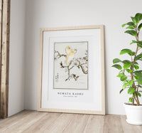 Numata Kashu - Canary and Peach illustration from Pictorial Monograph of Birds (1885)