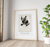 Numata Kashu - Japanese Jungle Nightjar illustration from Pictorial Monograph of Birds (1885)