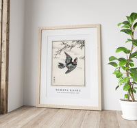 Numata Kashu - Hondo Great Spotted Woodpecker illustration from Pictorial Monograph of Birds (1885)