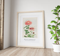 Megata Morikaga - Kiku (chrysanthemum) during 1870–1880