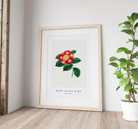 Mary Altha Nims - Chinese Flower