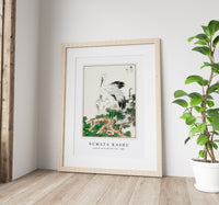 Numata Kashu - Japanese Stork and Pine Tree illustration from Pictorial Monograph of Birds (1885)