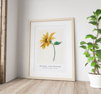 Michiel Van Huysum - Branch with a sunflower (1714–1760)