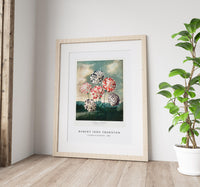 Robert John Thornton - A Group of Carnations from The Temple of Flora (1807)