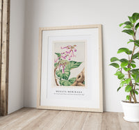 Megata Morikaga - Kiri branch with flowers and leaves during 1870–1880