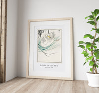 Numata Kashu - Wooper Swan illustration from Pictorial Monograph of Birds (1885)