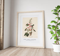 John James audubon - Columbian Humming Bird from Birds of America (1827)