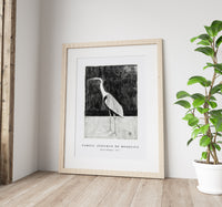 Samuel Jessurun De Mesquita - Heron (Reiger) (1911)