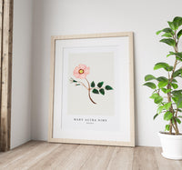 Mary Altha Nims - Wild Rose