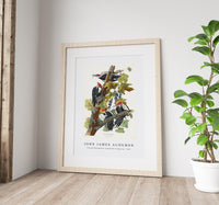 John James Audubon - Pileated Woodpecker from Birds of America (1827)