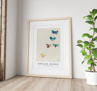 Odilon Redon - Five Butterflies 1912