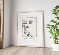 Numata Kashu - Japanese Long-tailed Rosefinch illustration from Pictorial Monograph of Birds (1885)