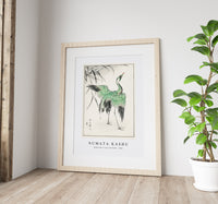 Numata Kashu - Demoiselle crane and Reed illustration from Pictorial Monograph of Birds (1885)