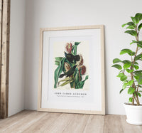 John James Audubon - Purple Grakle or Common Crow Blackbird from Birds of America (1827)