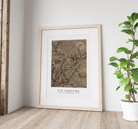 Ito Jakuchu - White Plum Blossoms and Moon (1755)