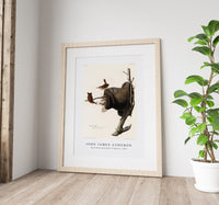 John James Audubon - House Wren from Birds of America (1827)